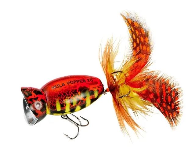 Arbogast Hula Popper 2.0 - 538 Coach Hog