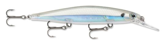 Amostra SDRD11 Albino Shiner