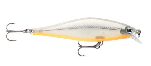 Amostra SDRS09 Bone