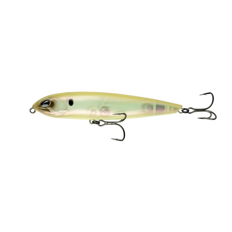 Amostra magdog FW SB Spanish Bone