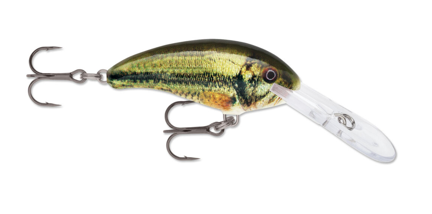 Amostra SDD05 LBL live largemouth bass