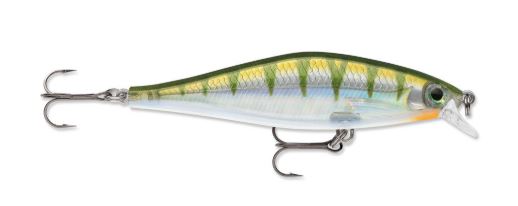 Amostra SDRS09 Yellow Perch