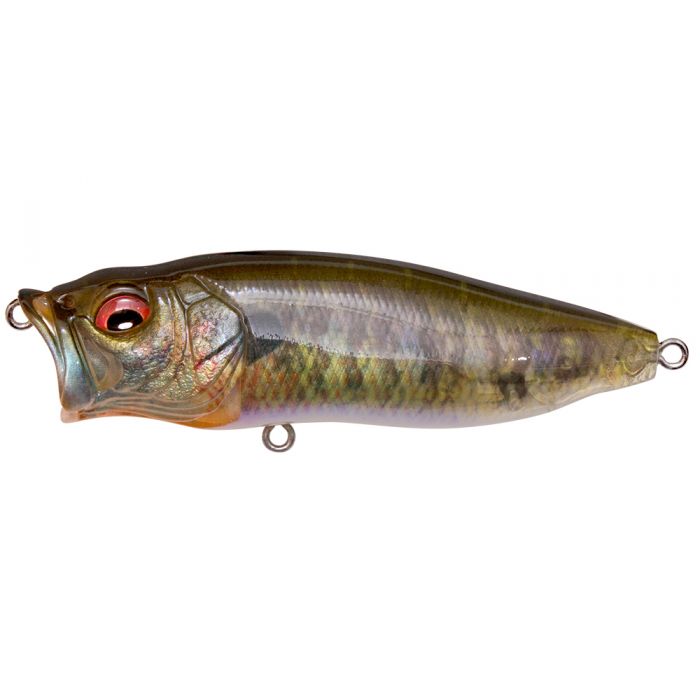 Megabass Pop Max - 84 FA Gill