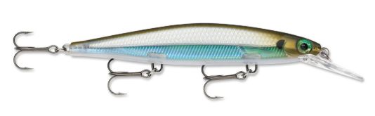 Amostra SDRD11 Moss Back Shiner