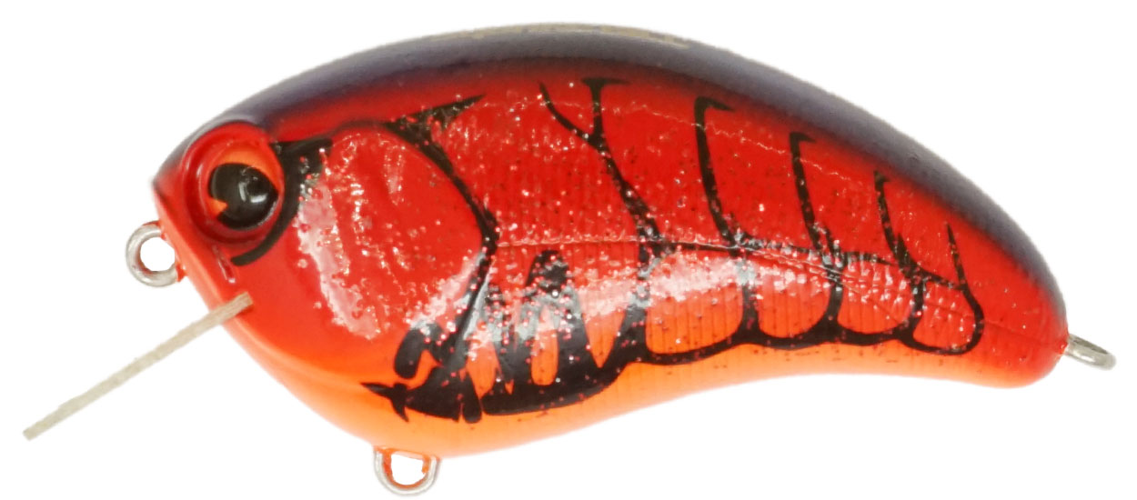 Ima Square Bill - 121 Hot Craw