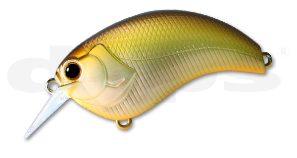 Evoke Horizon Shad