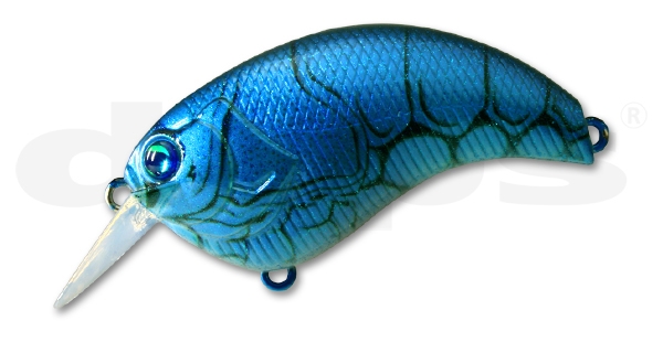  Evoke Florida Blue