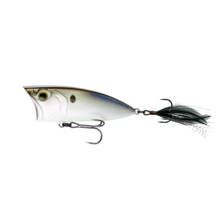 6th Sense Splash Back - 4K Shad