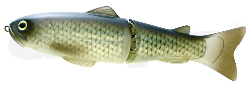 Deps Slide Swimmer 250 SS - 01 Flash Carp 