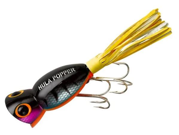 Arbogast Hula Popper - Perch