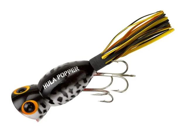 Arbogast Hula Popper - Coach Dog/Orange Belly