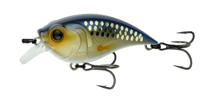 6th Sense Curve Finesse Squarebill -  Live Shiner