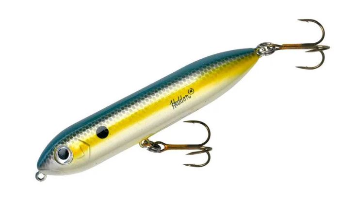 Heddon Super Spook Jr. - Foxy Shad