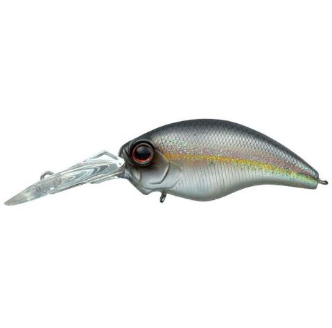 Evergreen Wild Hunch - 253 American Shad