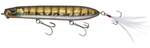 Evergreen Showerblows - Baby Gill 50