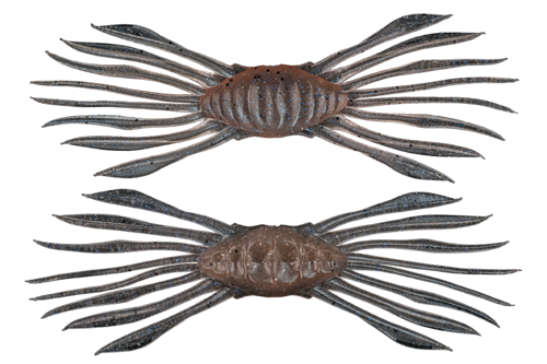 Drift Crab - Cinnamon Dappi Shrimp