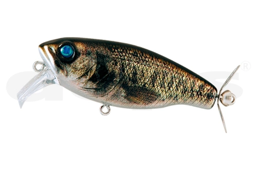 Buzzjet Jr. - 17 Real Largemouth