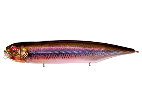 Megabass Dog X Diamante - FA Kawamutsu