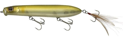 Evergreen Showerblows - Ayu 027